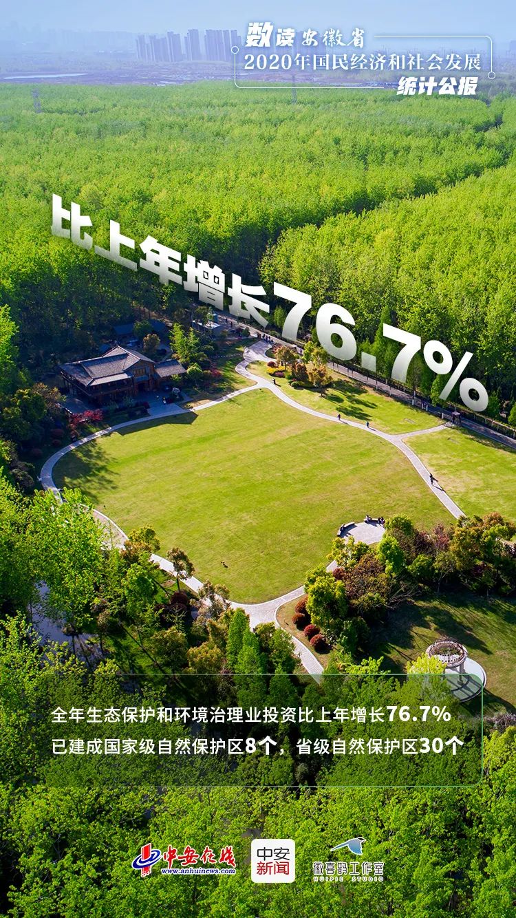 安徽林下gdp_新华网湖北频道(3)