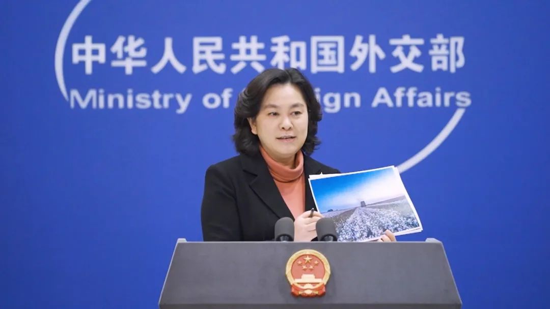 图:视察者网