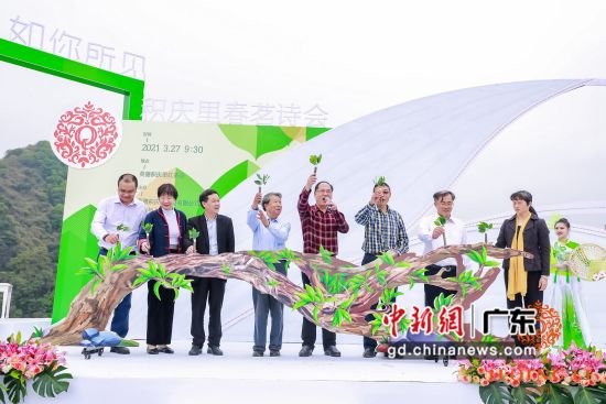 3月27日,2021第三届中国•英德红茶头采节积庆里分会场开幕,拉开全市茶园本年首轮春茶采摘的大幕。钟欣 摄