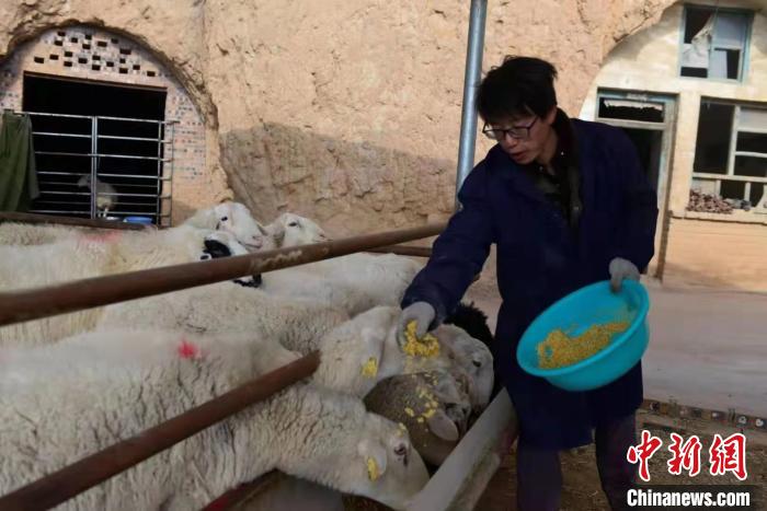 交口县返乡青年创办养殖场。近年,外出务工人员、“城归族”返乡创业,成为乡村振兴的一支重要力量。 解德智 摄