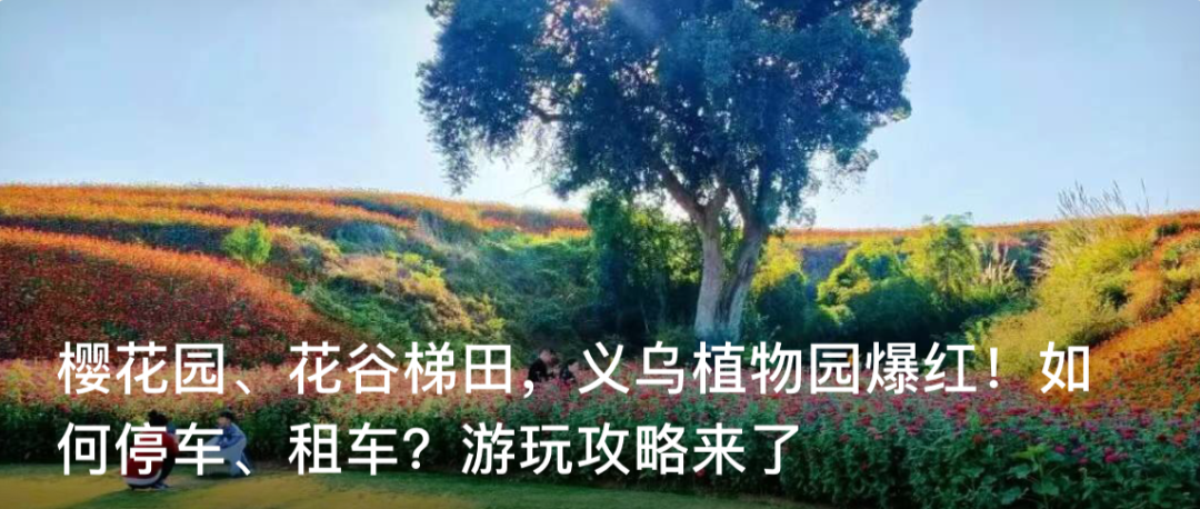 趁店主不在,义乌一男子盗打1000元彩票:没有付钱,以为查不到休闲区蓝鸢梦想 - Www.slyday.coM 趁店主不在,义乌一男子盗打1000元彩票:没有付钱,以为查不到休闲区蓝鸢梦想 - Www.slyday.coM