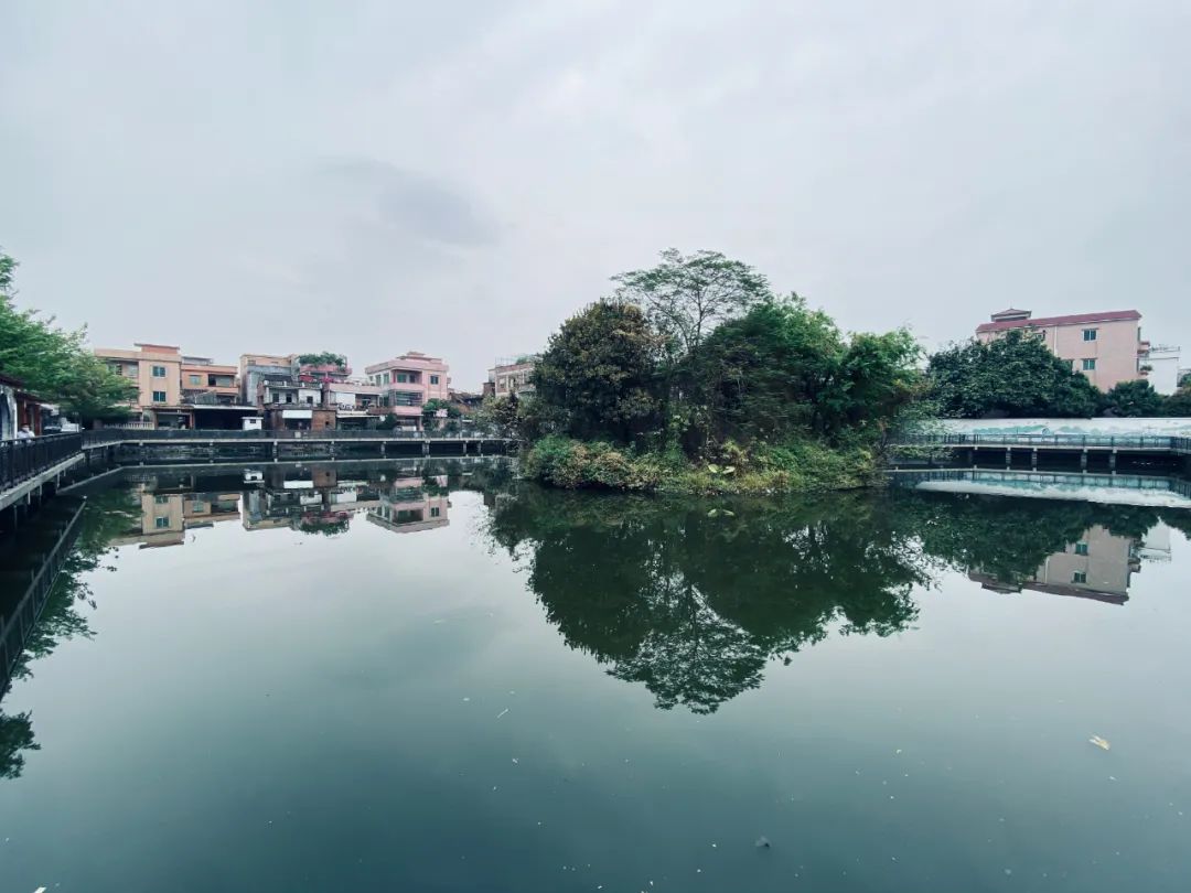 泽岐村人口_闽侯竹岐榕岸村规划图(2)