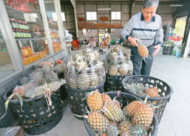 台农资料图