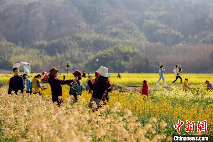 黄山市市区有多少人口