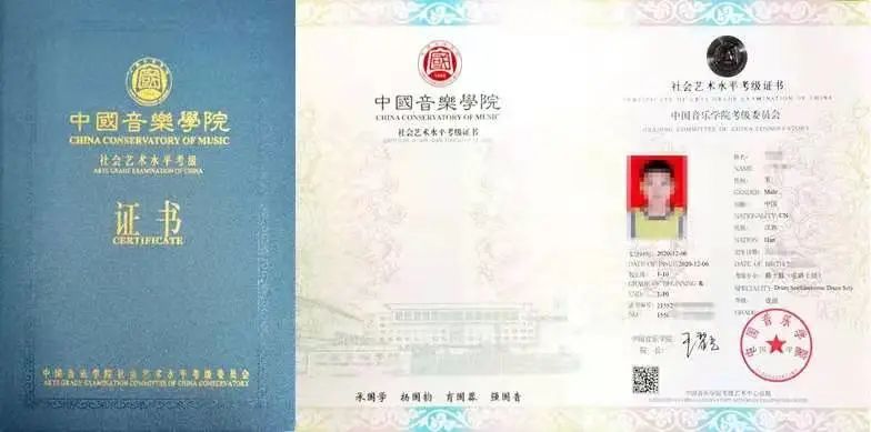 编程考级含金量对比 舞蹈书法考级权威指南