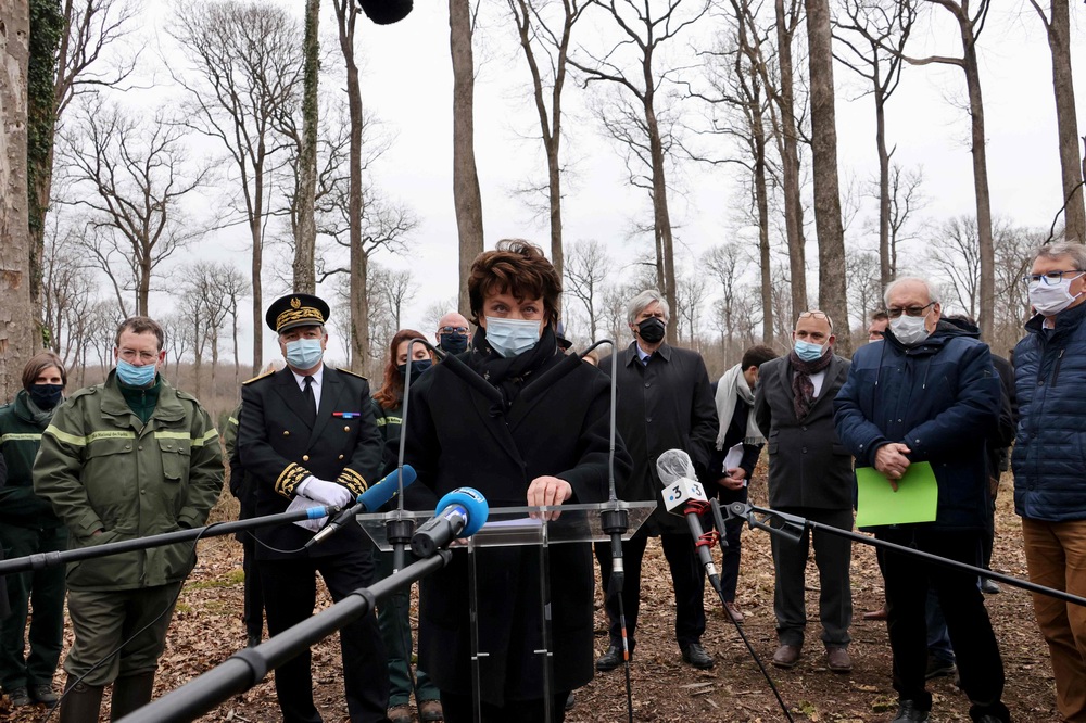 当地时间2021年3月5日，法国Jupilles，法国文化部长罗塞琳·巴切洛（Roselyne Bachelot）和法国农业部长朱利安·德诺曼迪（Julien Denormandie）等官员参观Berce森林，并召开新闻发布会。据悉，8棵橡树将被用于巴黎圣母院的重建工作。