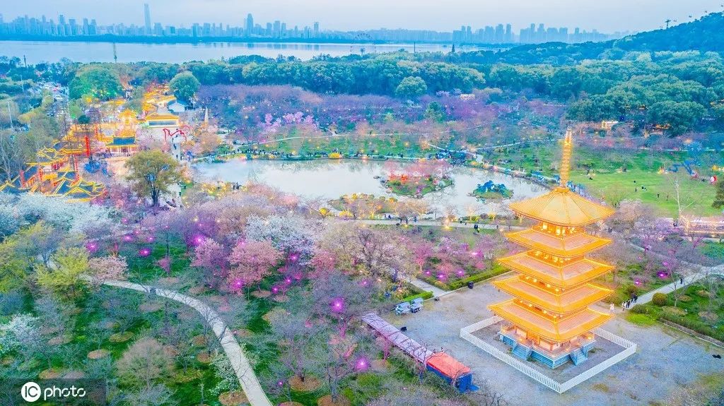 武汉东湖,春暖花开