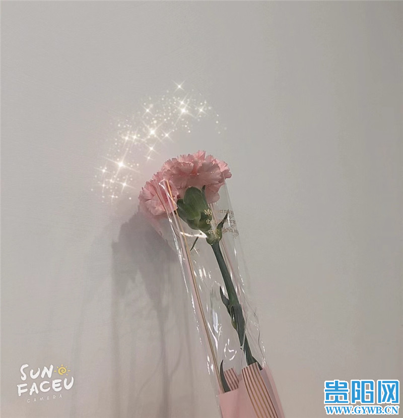 “开始喜欢‘三八’妇女节了”!今天贵阳人的朋友圈被礼物刷屏休闲区蓝鸢梦想 - Www.slyday.coM “开始喜欢‘三八’妇女节了”!今天贵阳人的朋友圈被礼物刷屏休闲区蓝鸢梦想 - Www.slyday.coM