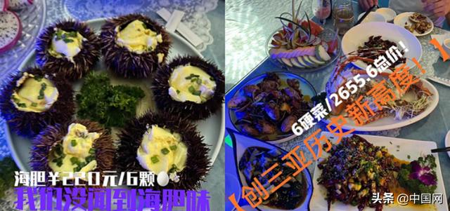 “三亚海胆”事件有反转?店家称手握证据将起诉消费者休闲区蓝鸢梦想 - Www.slyday.coM “三亚海胆”事件有反转?店家称手握证据将起诉消费者休闲区蓝鸢梦想 - Www.slyday.coM