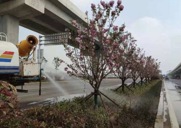 济宁内环高架景观工程清脆葱郁、魅丽多彩，路路有看头