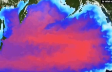 日本决定将福岛核废水排向大海!海鲜还能放心吃吗?休闲区蓝鸢梦想 - Www.slyday.coM 日本决定将福岛核废水排向大海!海鲜还能放心吃吗?休闲区蓝鸢梦想 - Www.slyday.coM