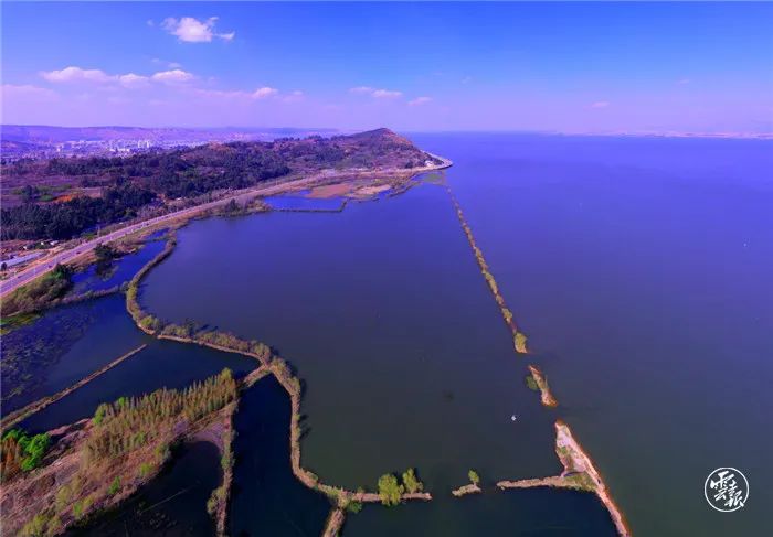 观景台,生态停车场等生态步道为湿地内部道路主要作用是将行人引入