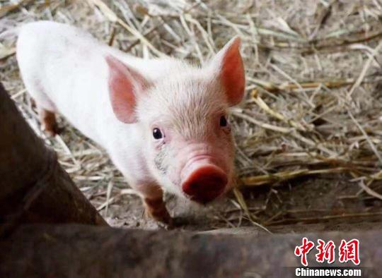 资料图 钟欣 摄