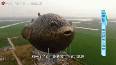 河豚怎么放心吃在这里不用拼死也能享受美味