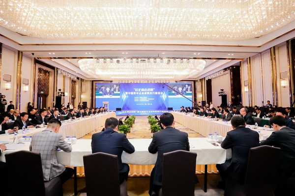会议现场(主办方供图 央广网发)