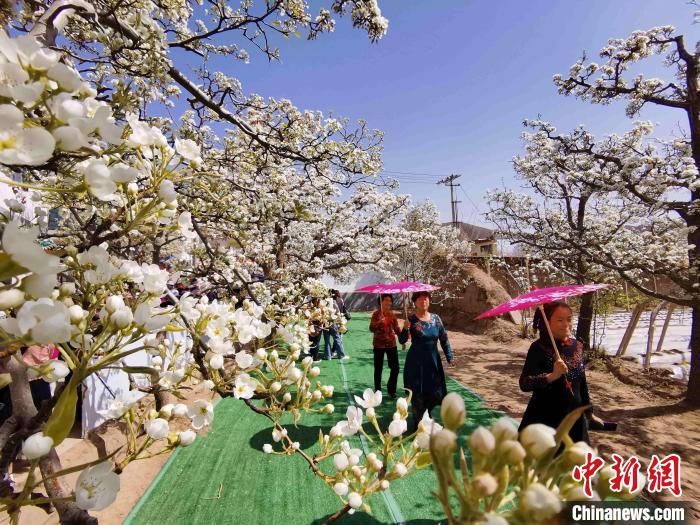 图为游客在梨园内展示服饰文化。　张添福 摄