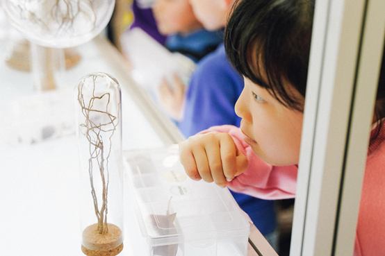 你在“蚂蚁森林”种的梭梭树究竟啥样?最近,它来到了杭州休闲区蓝鸢梦想 - Www.slyday.coM 你在“蚂蚁森林”种的梭梭树究竟啥样?最近,它来到了杭州休闲区蓝鸢梦想 - Www.slyday.coM