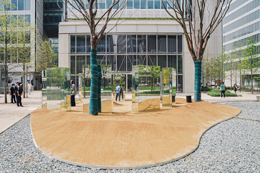 你在“蚂蚁森林”种的梭梭树究竟啥样?最近,它来到了杭州休闲区蓝鸢梦想 - Www.slyday.coM 你在“蚂蚁森林”种的梭梭树究竟啥样?最近,它来到了杭州休闲区蓝鸢梦想 - Www.slyday.coM