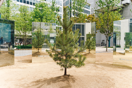 你在“蚂蚁森林”种的梭梭树究竟啥样?最近,它来到了杭州休闲区蓝鸢梦想 - Www.slyday.coM 你在“蚂蚁森林”种的梭梭树究竟啥样?最近,它来到了杭州休闲区蓝鸢梦想 - Www.slyday.coM