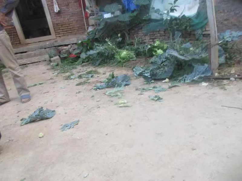 南安一老父亲报警抓五旬儿子!原因令人哭笑不得休闲区蓝鸢梦想 - Www.slyday.coM 南安一老父亲报警抓五旬儿子!原因令人哭笑不得休闲区蓝鸢梦想 - Www.slyday.coM