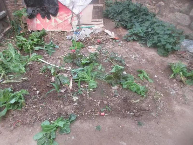 南安一老父亲报警抓五旬儿子!原因令人哭笑不得休闲区蓝鸢梦想 - Www.slyday.coM 南安一老父亲报警抓五旬儿子!原因令人哭笑不得休闲区蓝鸢梦想 - Www.slyday.coM