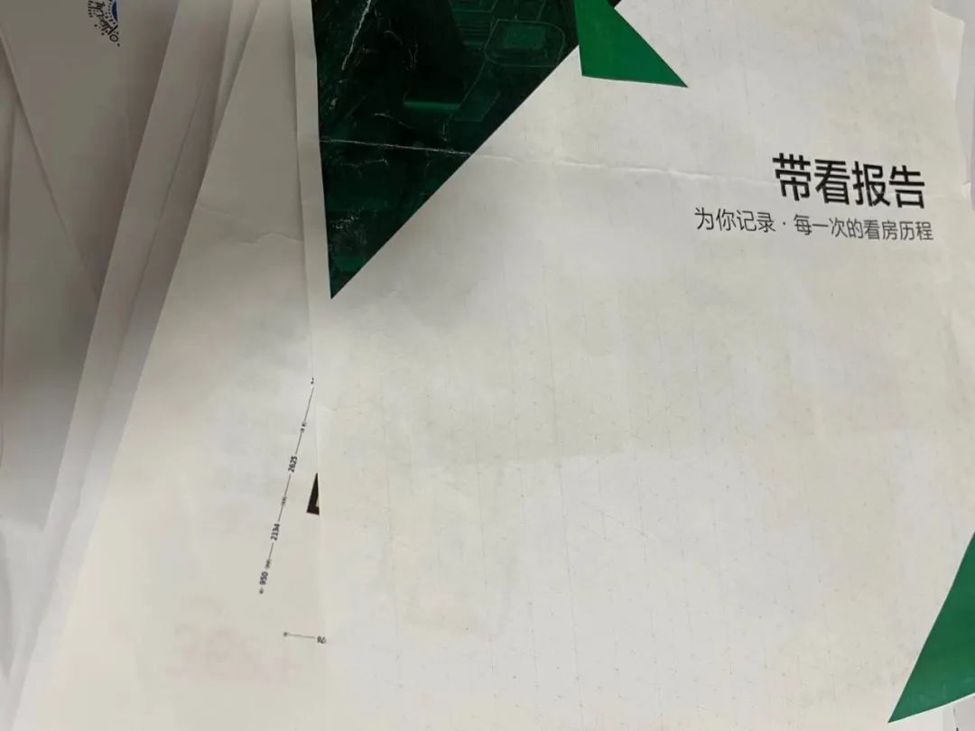 没攒够几摞带看报告,都不好意思说自己要买房。 / 受访者供图