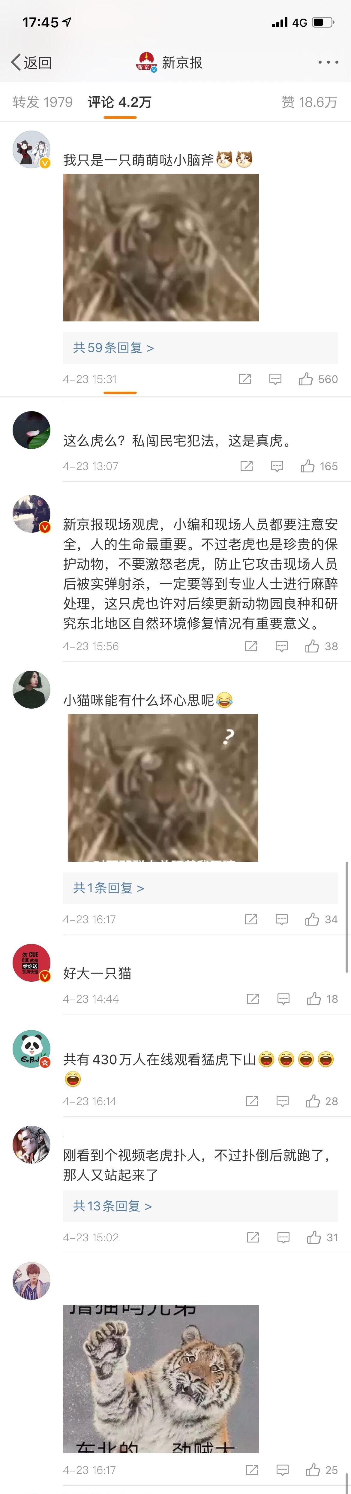 黑龙江进村的野生东北虎被控制住了!一文看懂老虎行动时间线