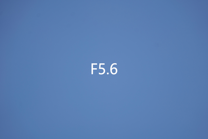 300mm焦段在实际拍摄中,松下lumix s 70-300mm f4.5-5.6 macro o.i.