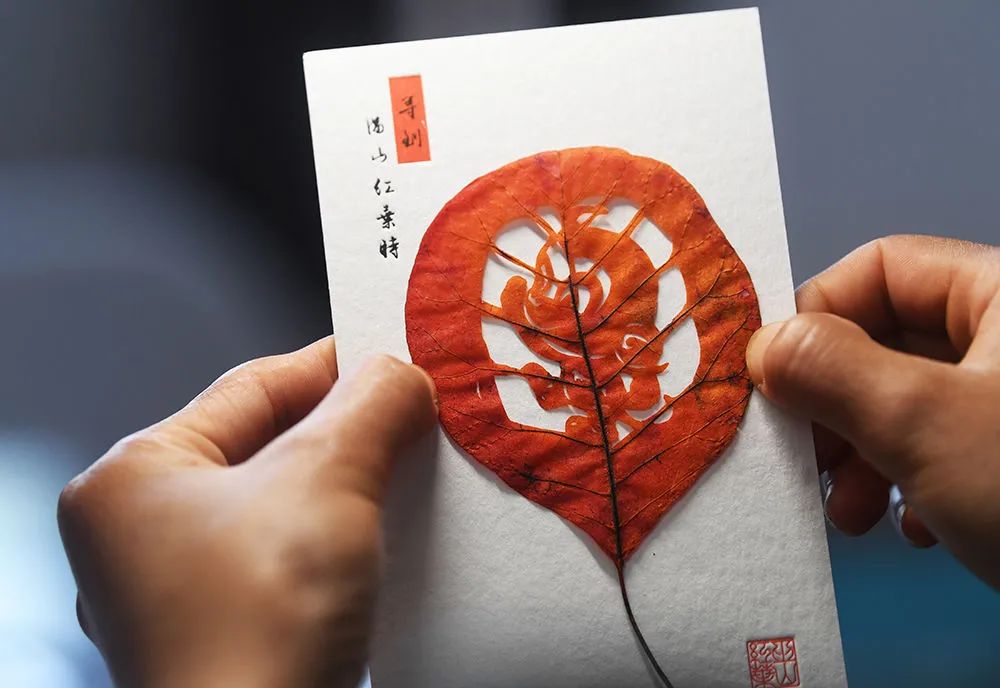 小三峡有了“红产业”,村民日子更红了钱包更鼓了