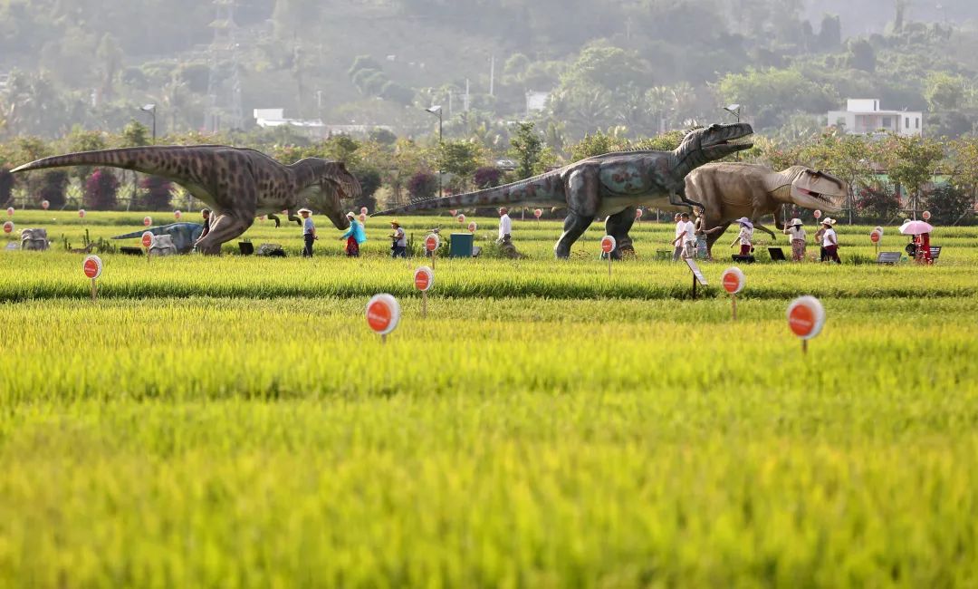 五一上新 | 水稻国家公园稻草童话艺术季来了|三亚_新浪新闻