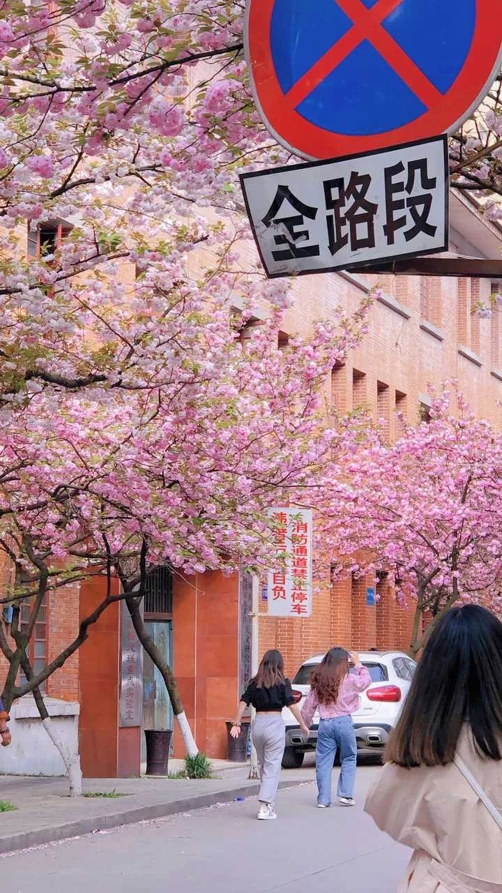 你眼中的贵师大,原来这么美!