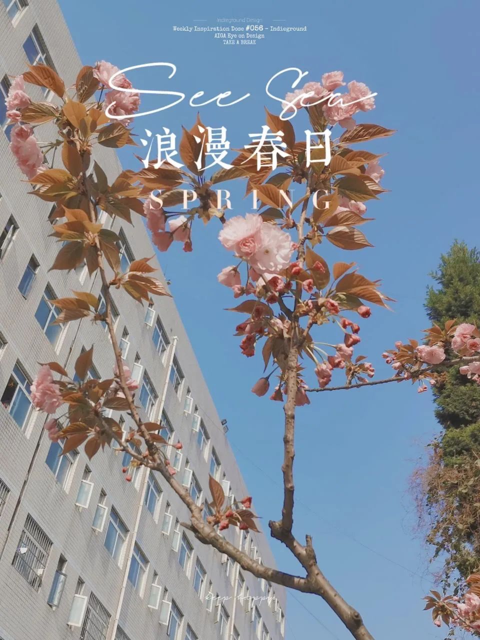 你眼中的贵师大,原来这么美!