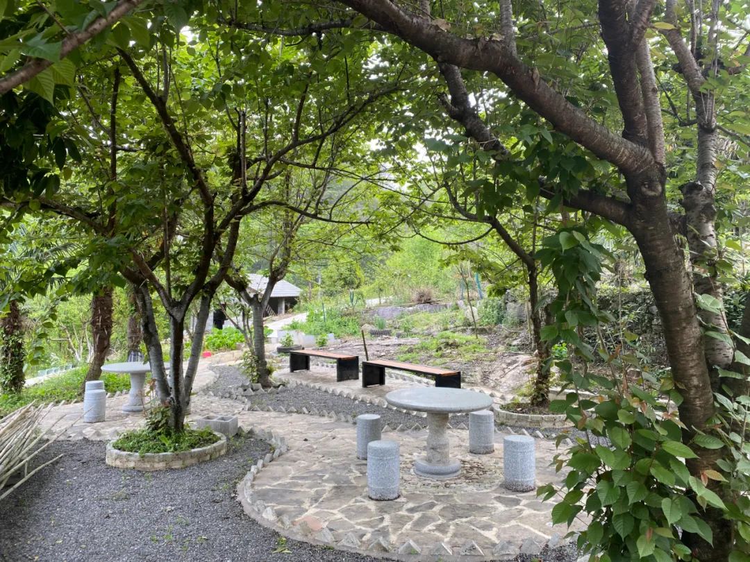 4月17日,江欣用一年时间翻新被烧毁的房子,她把房子二层空地设计成一个迷你小花园。受访者供图