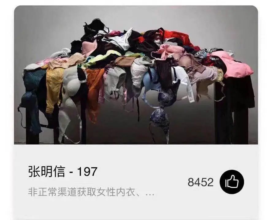 沈女士向新京报记者展示的截图显示,4月27日截至组委会删除作品前,网络投票结果显示《197》共获得8452个赞。受访者供图
