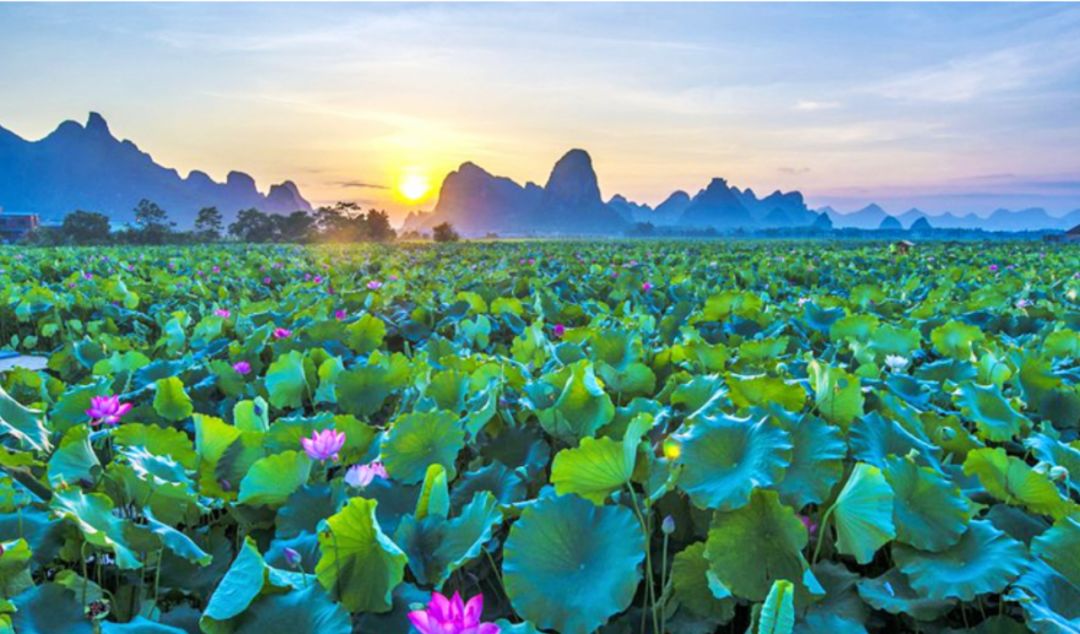 图源:一部手机游云南