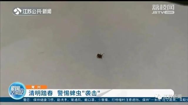 17岁姑娘出现“致命红斑”!此地1死26伤!紧急提醒:清明出游多地有人中招休闲区蓝鸢梦想 - Www.slyday.coM 17岁姑娘出现“致命红斑”!此地1死26伤!紧急提醒:清明出游多地有人中招休闲区蓝鸢梦想 - Www.slyday.coM