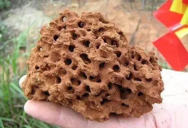 17岁姑娘出现“致命红斑”!此地1死26伤!紧急提醒:清明出游多地有人中招休闲区蓝鸢梦想 - Www.slyday.coM 17岁姑娘出现“致命红斑”!此地1死26伤!紧急提醒:清明出游多地有人中招休闲区蓝鸢梦想 - Www.slyday.coM