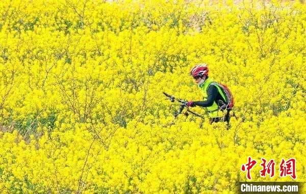 山西发布“游山西·读历史:山河春意”十大春日花季主题打卡地。山西省文化和旅游厅供图