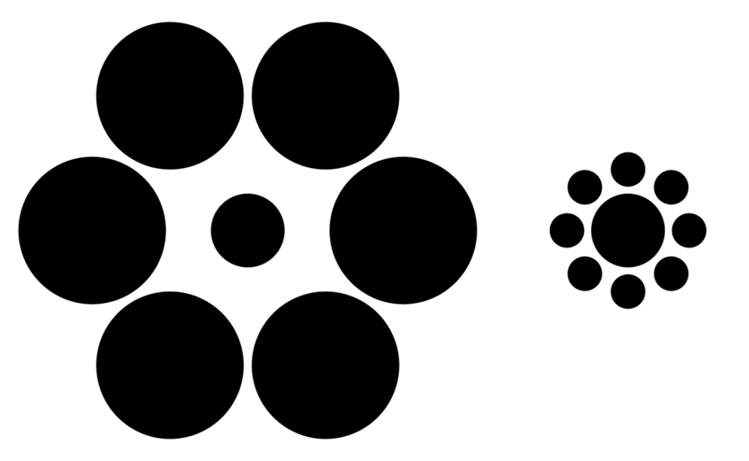 在艾宾浩斯-铁钦纳错觉中，两个位于中心的圆直径相同。在人类眼中，被更小的圆形环绕的那个圆，看上去更大。根据一项研究，这个错觉在狗狗眼中正好相反。