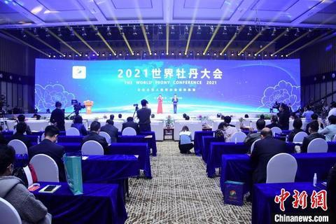 2021世界牡丹大会在菏泽开幕
