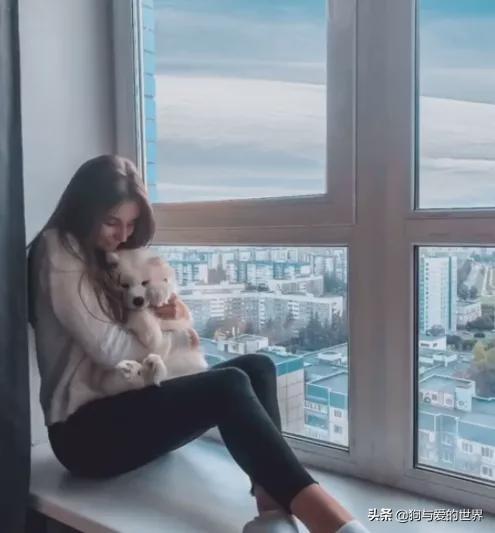 全网发起“复刻狗狗老照片挑战”,结果大家笑着笑着就哭了…休闲区蓝鸢梦想 - Www.slyday.coM 全网发起“复刻狗狗老照片挑战”,结果大家笑着笑着就哭了…休闲区蓝鸢梦想 - Www.slyday.coM