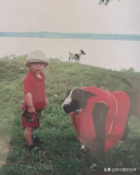 全网发起“复刻狗狗老照片挑战”,结果大家笑着笑着就哭了…休闲区蓝鸢梦想 - Www.slyday.coM 全网发起“复刻狗狗老照片挑战”,结果大家笑着笑着就哭了…休闲区蓝鸢梦想 - Www.slyday.coM