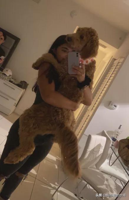 全网发起“复刻狗狗老照片挑战”,结果大家笑着笑着就哭了…休闲区蓝鸢梦想 - Www.slyday.coM 全网发起“复刻狗狗老照片挑战”,结果大家笑着笑着就哭了…休闲区蓝鸢梦想 - Www.slyday.coM