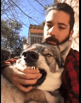 全网发起“复刻狗狗老照片挑战”,结果大家笑着笑着就哭了…休闲区蓝鸢梦想 - Www.slyday.coM 全网发起“复刻狗狗老照片挑战”,结果大家笑着笑着就哭了…休闲区蓝鸢梦想 - Www.slyday.coM