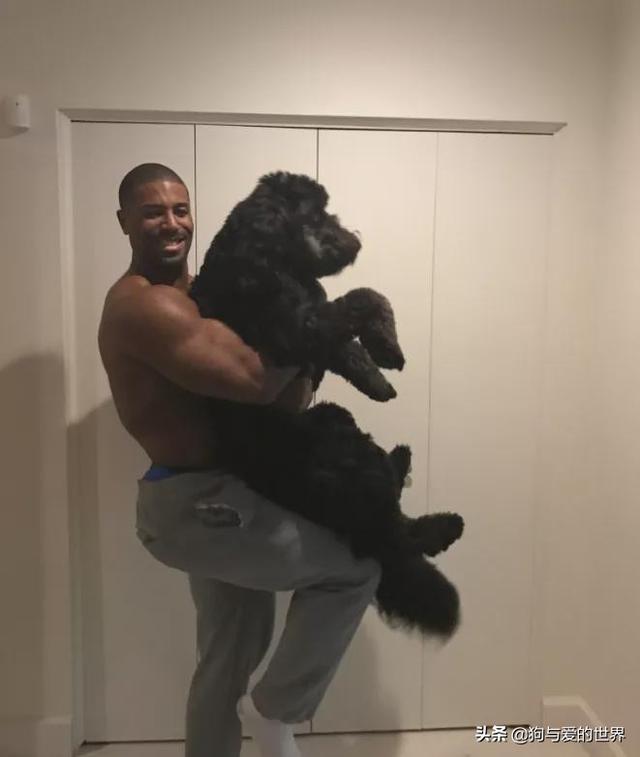 全网发起“复刻狗狗老照片挑战”,结果大家笑着笑着就哭了…休闲区蓝鸢梦想 - Www.slyday.coM 全网发起“复刻狗狗老照片挑战”,结果大家笑着笑着就哭了…休闲区蓝鸢梦想 - Www.slyday.coM