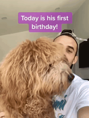 全网发起“复刻狗狗老照片挑战”,结果大家笑着笑着就哭了…休闲区蓝鸢梦想 - Www.slyday.coM 全网发起“复刻狗狗老照片挑战”,结果大家笑着笑着就哭了…休闲区蓝鸢梦想 - Www.slyday.coM