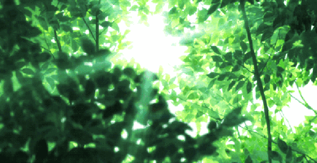 无锡最高气温33℃↓↓↓结果今早一出门起床时那叫一个神清气爽偷偷开