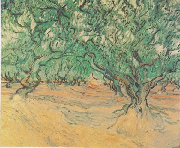 梵高的《橄榄树》（1889年9月）私人收藏