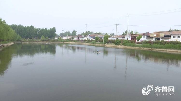 了不起的山东人|聊城临清一小汽车失控冲进鱼塘 众乡邻接力解救落水夫妻休闲区蓝鸢梦想 - Www.slyday.coM 了不起的山东人|聊城临清一小汽车失控冲进鱼塘 众乡邻接力解救落水夫妻休闲区蓝鸢梦想 - Www.slyday.coM