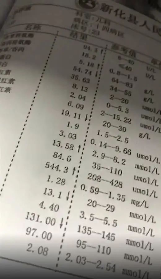 医院检查报告单(视频截图)